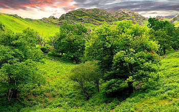 Landscape, Nature, Trees, Grass, Sky, Mountains, Summer, Relief, Brightly, Lowland HD wallpaper