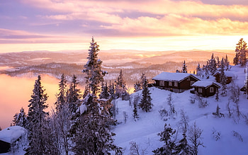 Winter in Norway, cabins, spruces, winter, Norway HD wallpaper
