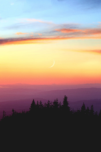 Nature, sunset, horizon, silhouette HD phone wallpaper