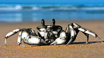Robot, Crabs HD wallpaper