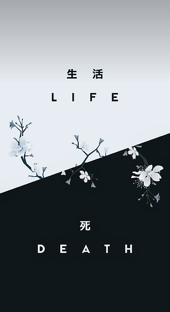 bob, art, plant HD phone wallpaper
