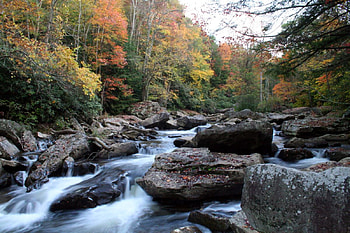 River, trees, flow, stones HD wallpaper