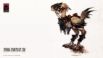 - FFXIV Chocobo.jpg | Final Fantasy Wiki | FANDOM powered by Wikia HD wallpaper