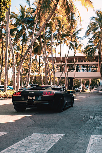 Lamborghini, Palms, Cars, Back View, Rear View, Lamborghini Aventador, Luxurious HD phone wallpaper