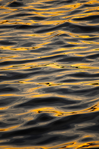 Nature, Water, Waves, Glare, Wavy HD phone wallpaper