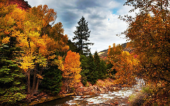 Autumn at the river, creek, fall, clouds, trees, colors, sky HD wallpaper