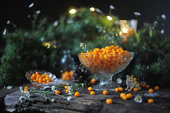 Still life, Cat, Vase, Berries, Bokeh HD wallpaper