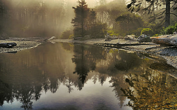 Nature, Lake, Rays, Beams, Fog, Morning, Sunlight HD wallpaper