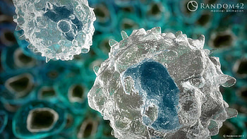 macrophage cells HD wallpaper