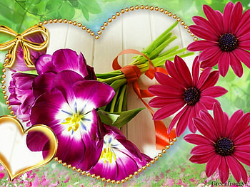 HEART FRAMED FLOWERS, HEART, FLOWERS, FRAME HD wallpaper