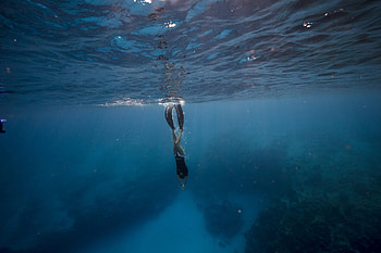 diving, Sports, Inspirational Highlights, Worldwide diving HD wallpaper