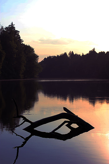 Nature, Trees, Twilight, Lake, Forest, Dusk, Snag HD phone wallpaper