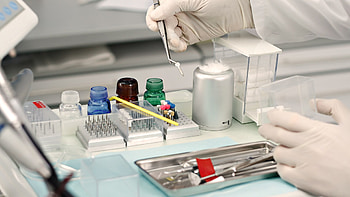Of The Day: Dentist | px Dentist HD wallpaper