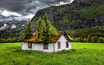 abandoned, snow, trees, grass, mountains, hill, norway HD wallpaper