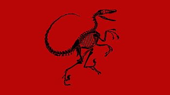 Velociraptor , Stunning visuals, Mesmerizing designs, High-quality HD wallpaper