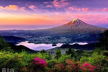 MOUNTAIN FLOWERS from the TOP, wild flowers, pink colors, enchanting nature, landscape, hill top, mountain, clouds, nature, sky, splendor HD wallpaper