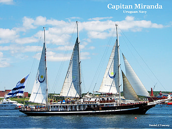 Capitan Miranda, capitan miranda, danieltowsey HD wallpaper