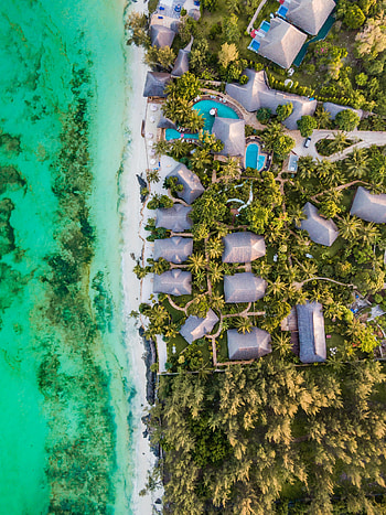 Nature, Sea, Beach, Palms, View From Above, Bungalow HD phone wallpaper