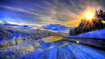 Sunny Day in Alaska, winter, sunny, season, snow, trees, nature, alaska, sun HD wallpaper