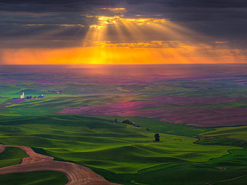 Nature, Fields, Sky, Sun, Clouds, Shine, Light, Road, Greens, Plain HD wallpaper