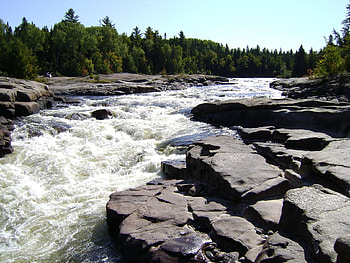 Untitle, river, rock, tree HD wallpaper