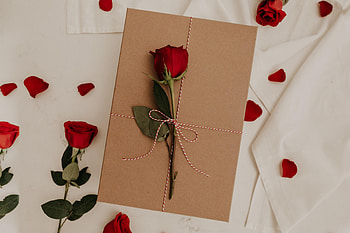 Flowers, Flower, Rose Flower, Rose, Envelope HD wallpaper