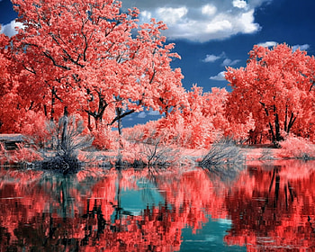 Dream Nature, Water, Autumn, Sky, Trees HD wallpaper