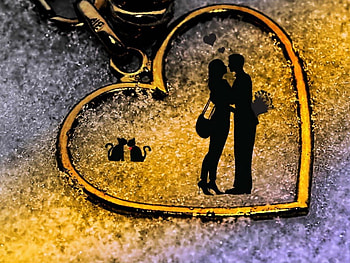 Romance, style, art, cat, gold, creative, abstract, love, couple, heart HD wallpaper