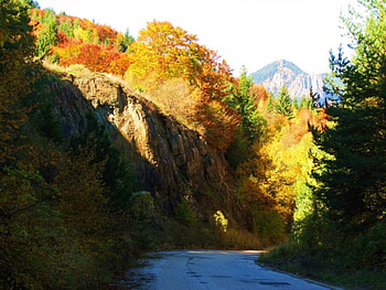 Mountain road, graphy, fall, colors, mountain, bulgaria, trees, autumn, road, forest HD wallpaper