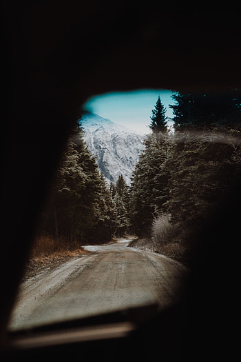 Landscape, Nature, Trees, Road, View HD phone wallpaper
