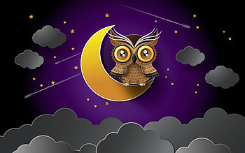 Owl on the moon, night, bird, stars, owl, purple, halloween, abstract, yellow, sky, cloud HD wallpaper