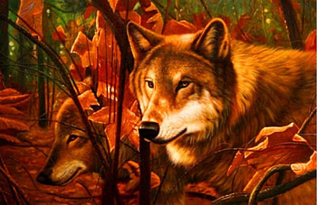 Wolves, animal, art, wolf, wild, predator HD wallpaper