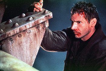 Harrison Ford, Deckard in Blade Runner, Expert for Movies HD wallpaper