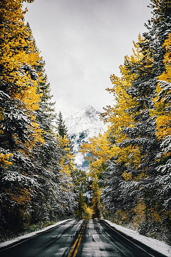 Nature, Trees, Snow, Mountain, Vertex, Top, Road HD phone wallpaper