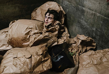 Marty Supreme — Quad Film Still: Paper Cocoon, Movie, Timothée Chalamet HD wallpaper