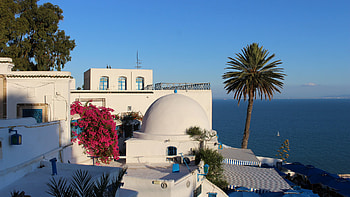 Tunisia, Country profile, Business opportunities, Investment insights HD wallpaper