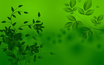 Abstract, Background, Leaves, Patterns, Shine, Light HD wallpaper