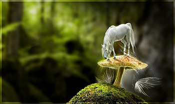 Tiny horse, white, horse, mushroom, fairy, fantasy, green, luminos, forest, tiny HD wallpaper
