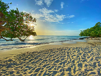 Aruba Island, Eagle Beach, Pristine shoreline, Tropical beauty HD wallpaper