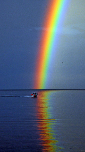 Rainbow, Rainy HD phone wallpaper