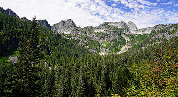 Nature, Trees, Mountains, Vertex, Top, Forest, Slope HD wallpaper
