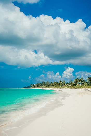 The Bahamas, Fuming over Miami, TV news report HD phone wallpaper