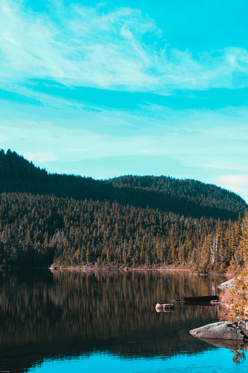 Nature, Trees, Sky, Lake, Reflection HD phone wallpaper