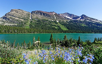 Lake Josephine, Glacier National Park, wildflowers, Montana, USA, sky, mountains, stones HD wallpaper