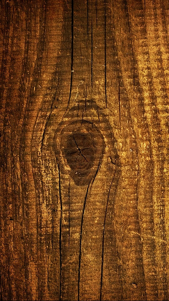 Wood , Natural texture, Mobile background, Organic HD phone wallpaper