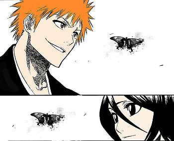 ichigo and rukia, bleach, ichigo, anime, rukia HD wallpaper