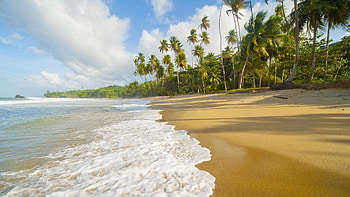 Trinidad and Tobago travels, The seashore, Tropical paradise, Beach landscape HD wallpaper