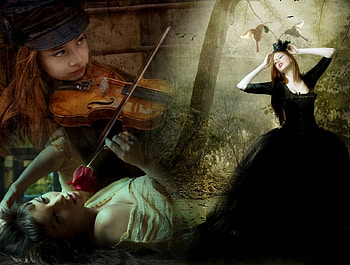 The Trio, rose, birds, dance, boy, ladies, violin, fiddler, tree HD wallpaper