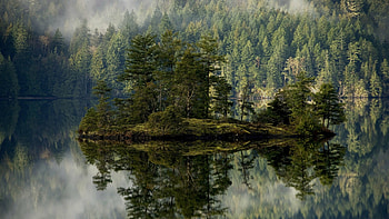 Preview forest, lake, reflection, island, mist HD wallpaper