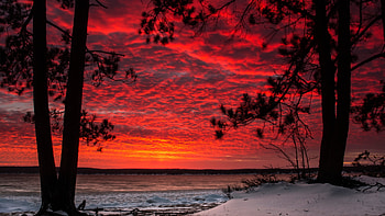 Fiery Sunset, snow, winter, landscape, trees, colors, lake HD wallpaper